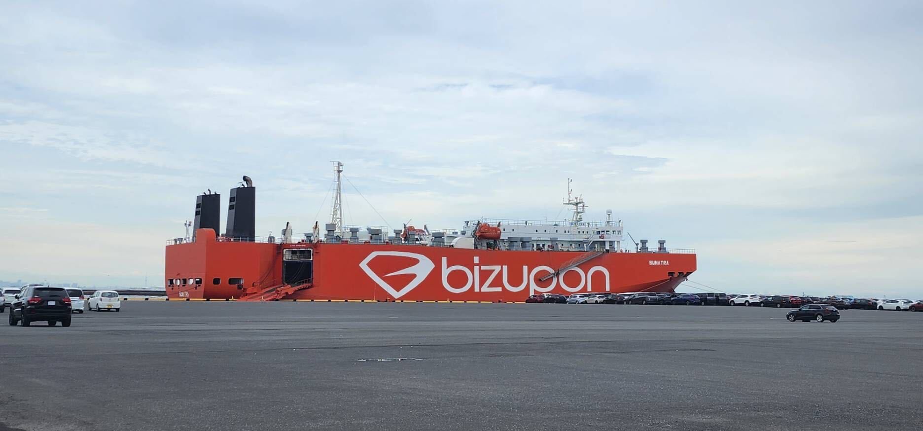 bizupon の名が入った自動車運搬船と、埠頭に並ぶ輸出待ちの車両